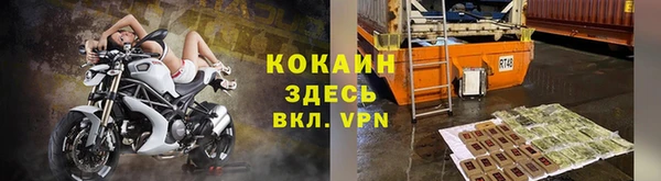 прущие грибы Верхнеуральск
