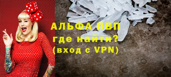 прущие грибы Верхнеуральск