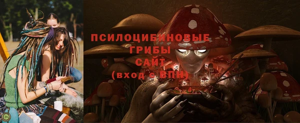 хмурый Яровое