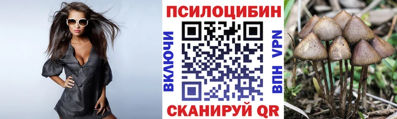 Псилоцибиновые грибы Psilocybine cubensis  Биробиджан 